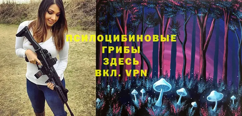 Псилоцибиновые грибы Magic Shrooms  Дальнереченск 