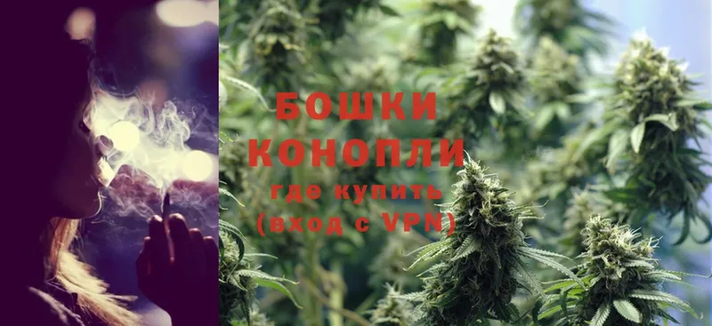 Бошки марихуана SATIVA & INDICA  Дальнереченск 